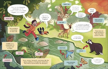 The Fact-Finders Rainforest: Walk Through the Magical Rainforests! - Dk [KSIĄŻKA]