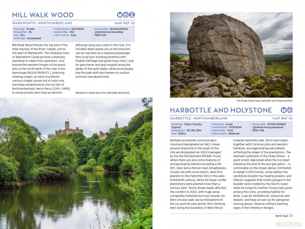 The Forest Guide: England: Copses, Woods and Forests of England - Gabriel Hemery [KSIĄŻKA]