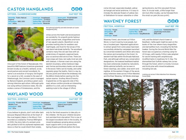 The Forest Guide: England: Copses, Woods and Forests of England - Gabriel Hemery [KSIĄŻKA]