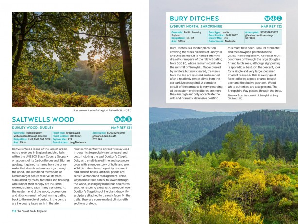 The Forest Guide: England: Copses, Woods and Forests of England - Gabriel Hemery [KSIĄŻKA]