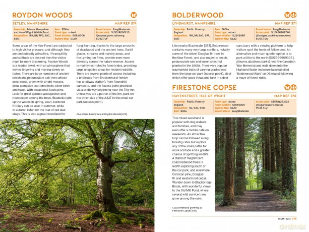 The Forest Guide: England: Copses, Woods and Forests of England - Gabriel Hemery [KSIĄŻKA]