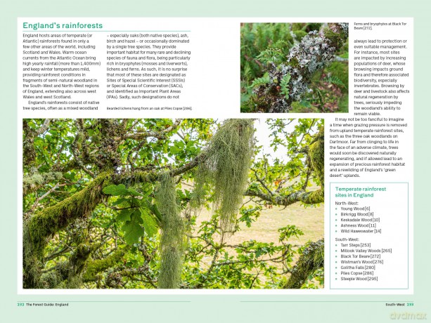 The Forest Guide: England: Copses, Woods and Forests of England - Gabriel Hemery [KSIĄŻKA]