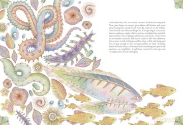 The Forgotten Teachers: How Nature Wrote the Story of Life - Brian Isett [KSIĄŻKA]