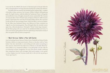 The Goth Garden: The Mystery, Beauty, and Lore of Dark Gardening - Felicia Feaster [KSIĄŻKA]
