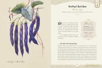 The Goth Garden: The Mystery, Beauty, and Lore of Dark Gardening - Felicia Feaster [KSIĄŻKA]