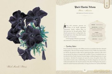 The Goth Garden: The Mystery, Beauty, and Lore of Dark Gardening - Felicia Feaster [KSIĄŻKA]