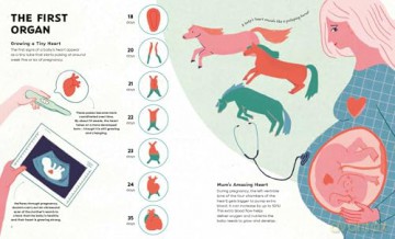 The Heart: History, Science and Lots of Love - Noemí Fabra [KSIĄŻKA]