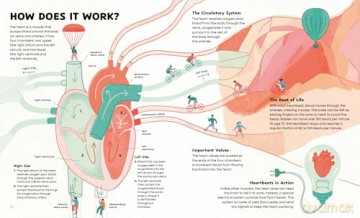 The Heart: History, Science and Lots of Love - Noemí Fabra [KSIĄŻKA]