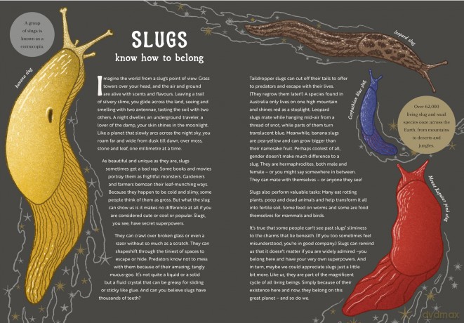 The Hidden Wisdom of Animals: Surprising Things We Can Learn From Nature - Kate Siber [KSIĄŻKA]