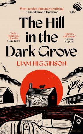 The Hill in the Dark Grove: a tender and haunting story steeped in Welsh folklore and laced with unsettling horror - Liam Higginson [KSIĄŻKA]