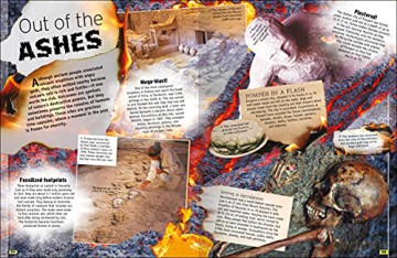 The History Book: 160 Pages Packed Full of Amazing Photos and Fantastic Facts [KSIĄŻKA]