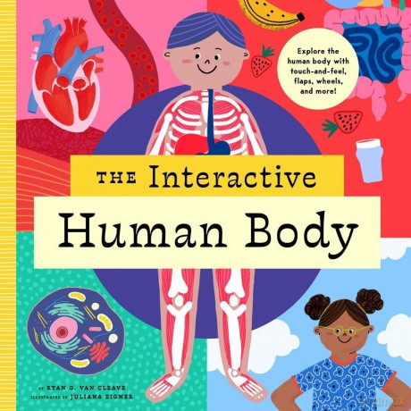 The Interactive Human Body Explore the human body with flaps, wheels, levers, touch and feel, and more: 3 (Interactive Explorer) - Peter Hinckley [KSIĄŻKA]