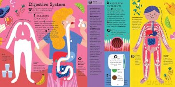The Interactive Human Body Explore the human body with flaps, wheels, levers, touch and feel, and more: 3 (Interactive Explorer) - Peter Hinckley [KSIĄŻKA]