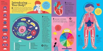 The Interactive Human Body Explore the human body with flaps, wheels, levers, touch and feel, and more: 3 (Interactive Explorer) - Peter Hinckley [KSIĄŻKA]