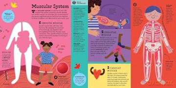 The Interactive Human Body Explore the human body with flaps, wheels, levers, touch and feel, and more: 3 (Interactive Explorer) - Peter Hinckley [KSIĄŻKA]