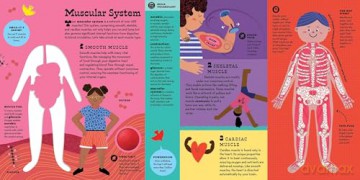 The Interactive Human Body Explore the human body with flaps, wheels, levers, touch and feel, and more: 3 (Interactive Explorer) - Peter Hinckley [KSIĄŻKA]