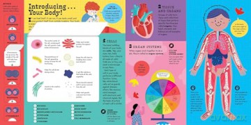 The Interactive Human Body Explore the human body with flaps, wheels, levers, touch and feel, and more: 3 (Interactive Explorer) - Peter Hinckley [KSIĄŻKA]