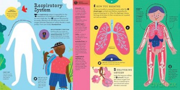 The Interactive Human Body Explore the human body with flaps, wheels, levers, touch and feel, and more: 3 (Interactive Explorer) - Peter Hinckley [KSIĄŻKA]