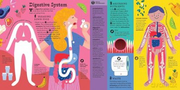 The Interactive Human Body Explore the human body with flaps, wheels, levers, touch and feel, and more: 3 (Interactive Explorer) - Peter Hinckley [KSIĄŻKA]