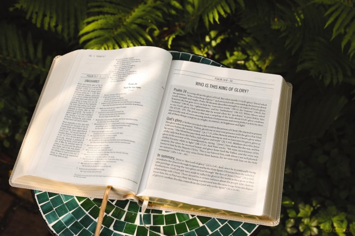 The Jesus Bible, ESV Edition, Leathersoft, Stone: Esv Edition, Stone - Zondervan [KSIĄŻKA]
