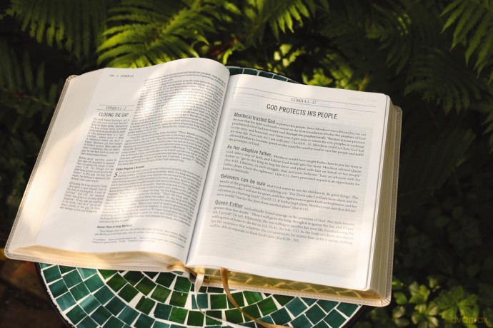The Jesus Bible, ESV Edition, Leathersoft, Stone: Esv Edition, Stone - Zondervan [KSIĄŻKA]