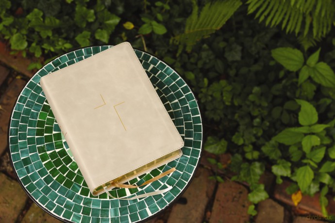 The Jesus Bible, ESV Edition, Leathersoft, Stone: Esv Edition, Stone - Zondervan [KSIĄŻKA]