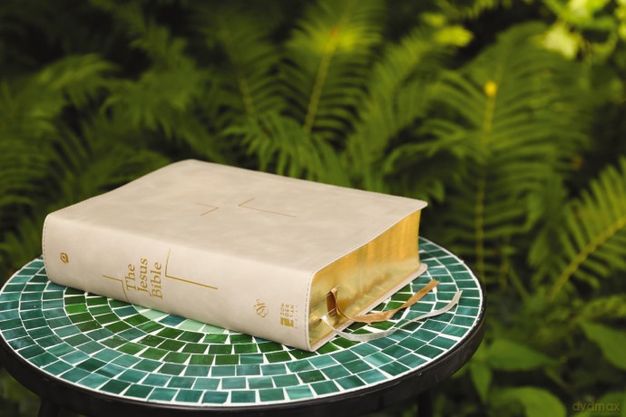 The Jesus Bible, ESV Edition, Leathersoft, Stone: Esv Edition, Stone - Zondervan [KSIĄŻKA]
