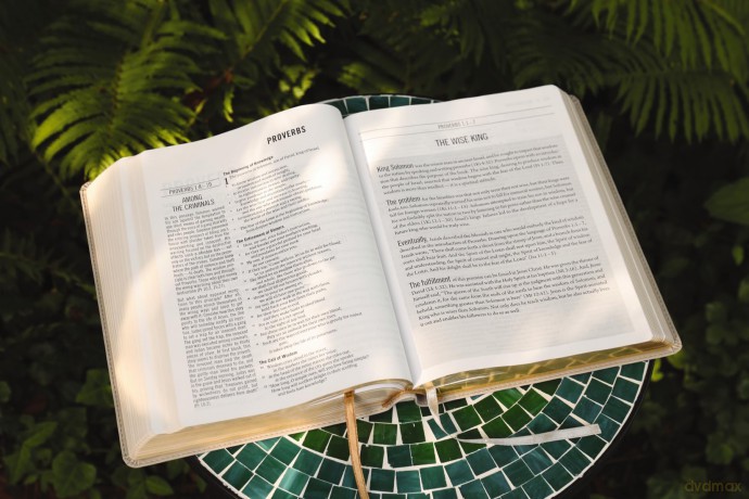 The Jesus Bible, ESV Edition, Leathersoft, Stone: Esv Edition, Stone - Zondervan [KSIĄŻKA]