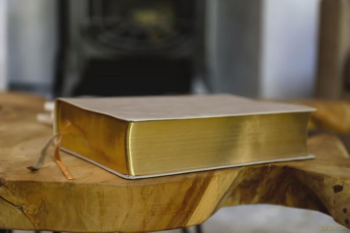 The Jesus Bible, ESV Edition, Leathersoft, Stone: Esv Edition, Stone - Zondervan [KSIĄŻKA]