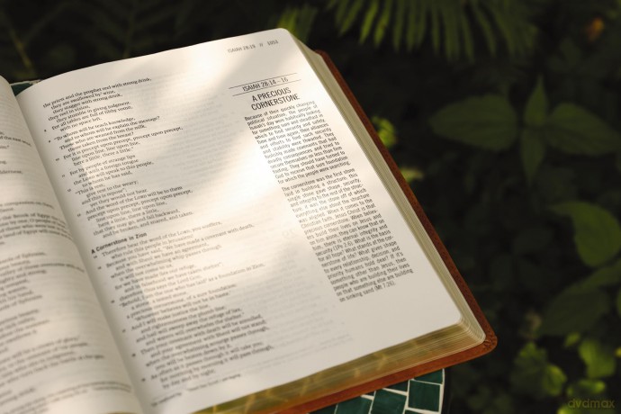 The Jesus Bible, ESV Edition, Leathersoft, Tan: Esv Edition, Tan - Zondervan [KSIĄŻKA]