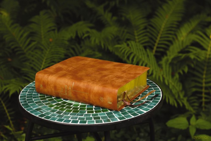 The Jesus Bible, ESV Edition, Leathersoft, Tan: Esv Edition, Tan - Zondervan [KSIĄŻKA]