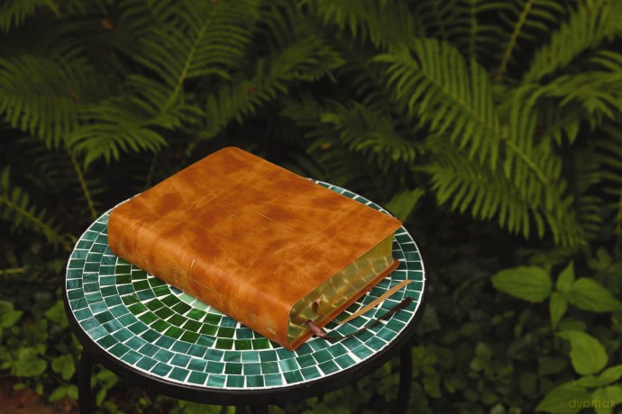 The Jesus Bible, ESV Edition, Leathersoft, Tan: Esv Edition, Tan - Zondervan [KSIĄŻKA]
