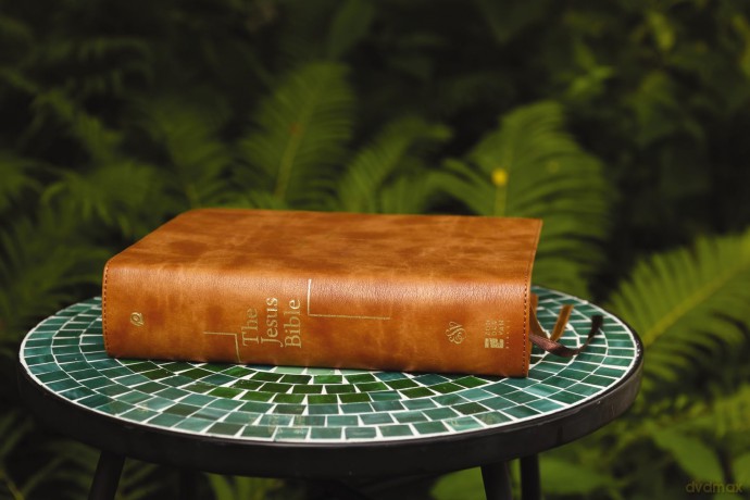 The Jesus Bible, ESV Edition, Leathersoft, Tan: Esv Edition, Tan - Zondervan [KSIĄŻKA]