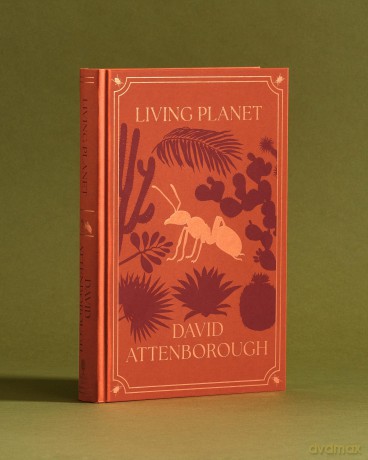 The Life Trilogy Boxset: The Greatest Story Ever Told - David Attenborough [KSIĄŻKA]