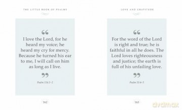 The Little Book of Psalms: Words of Praise, Comfort and Hope - Orange Hippo! [KSIĄŻKA]
