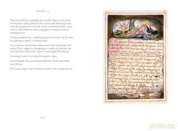 The Marriage of Heaven and Hell (Slipcase Edition) - William Blake [KSIĄŻKA]