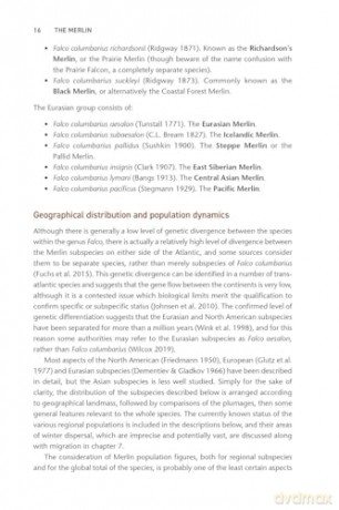 The Merlin: The Ecology of a Magical Raptor - Frank Rennie [KSIĄŻKA]