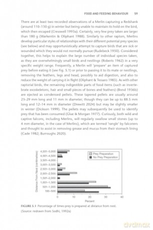 The Merlin: The Ecology of a Magical Raptor - Frank Rennie [KSIĄŻKA]
