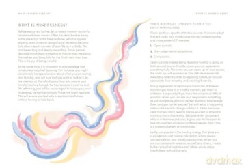 The Mindfulness Year: How to Thrive in Every Season - Tara Ward [KSIĄŻKA]