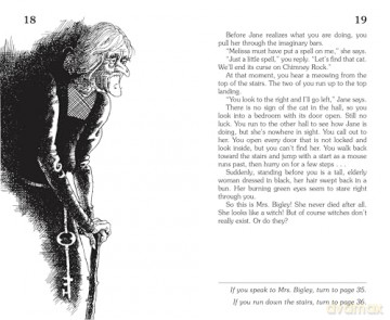 The Mystery of Chimney Rock (Choose Your Own Adventure Retro Editions) - Edward Packard [KSIĄŻKA]
