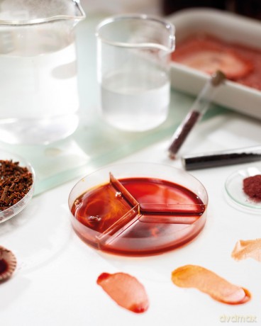 The Natural Pigment Handbook: A Maker's Guide to the Art, Stories and Recipes for Creating Paint - Lucy Mayes [KSIĄŻKA]