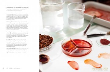 The Natural Pigment Handbook: A Maker's Guide to the Art, Stories and Recipes for Creating Paint - Lucy Mayes [KSIĄŻKA]