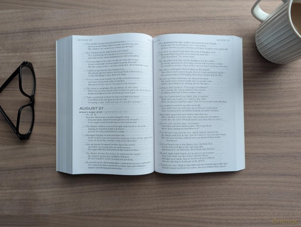 The One Year Chronological Bible The Message, Large Print: The Message, Thinline Edition - Eugene Peterson [KSIĄŻKA]