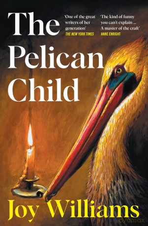 The Pelican Child: Longlisted for the 2025 National Book Award - Joy Williams [KSIĄŻKA]