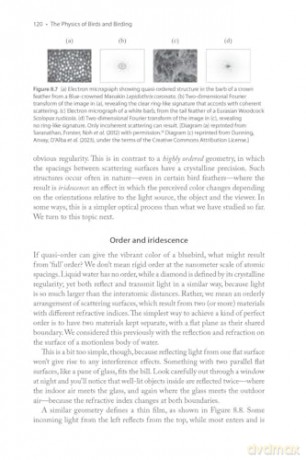 The Physics of Birds and Birding: The Sounds, Colors and Movements of Birds, and Our Tools for Watching Them - Michael Hurben [KSIĄŻKA]
