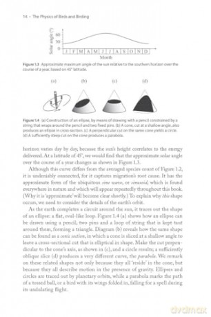 The Physics of Birds and Birding: The Sounds, Colors and Movements of Birds, and Our Tools for Watching Them - Michael Hurben [KSIĄŻKA]