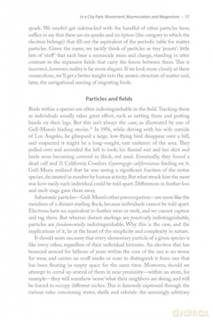 The Physics of Birds and Birding: The Sounds, Colors and Movements of Birds, and Our Tools for Watching Them - Michael Hurben [KSIĄŻKA]