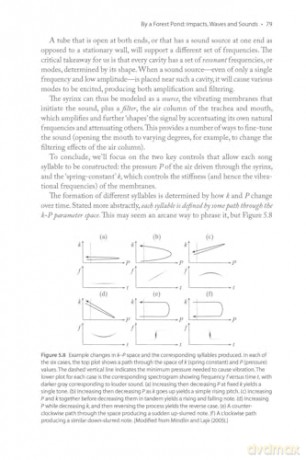 The Physics of Birds and Birding: The Sounds, Colors and Movements of Birds, and Our Tools for Watching Them - Michael Hurben [KSIĄŻKA]