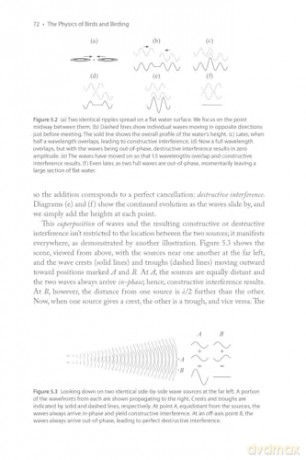 The Physics of Birds and Birding: The Sounds, Colors and Movements of Birds, and Our Tools for Watching Them - Michael Hurben [KSIĄŻKA]