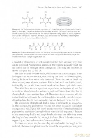 The Physics of Birds and Birding: The Sounds, Colors and Movements of Birds, and Our Tools for Watching Them - Michael Hurben [KSIĄŻKA]